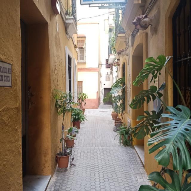 Light Of * Seville